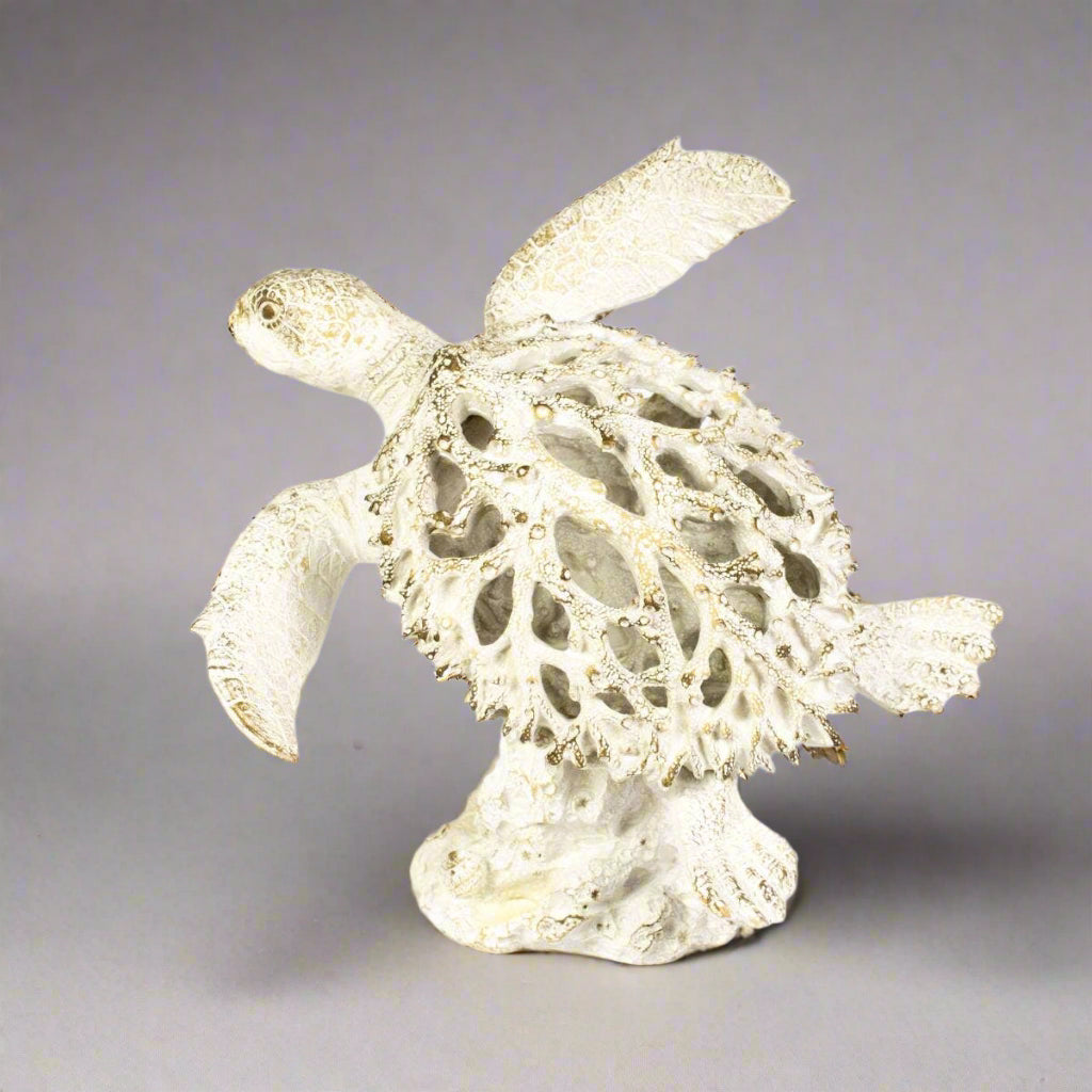 Turtle - Coral Creatures