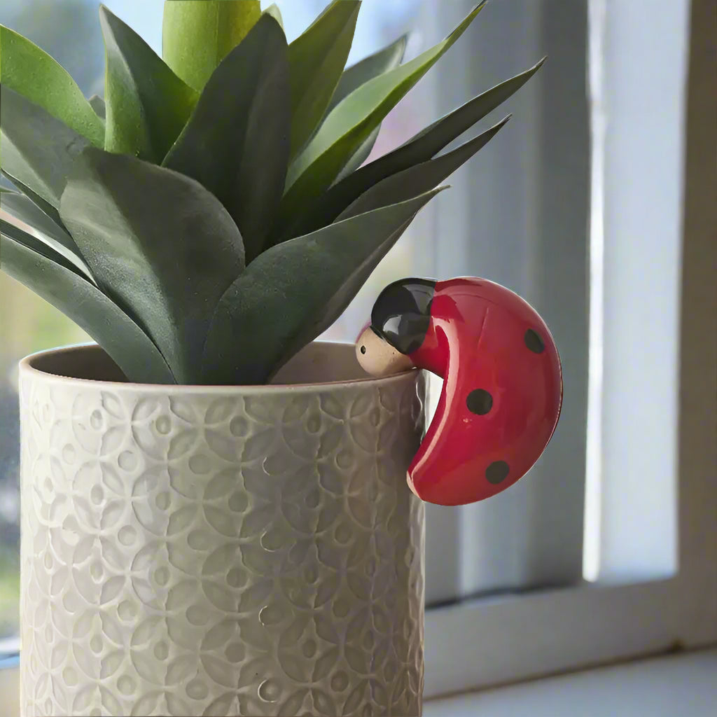 Ladybird Flower Pot Hanger