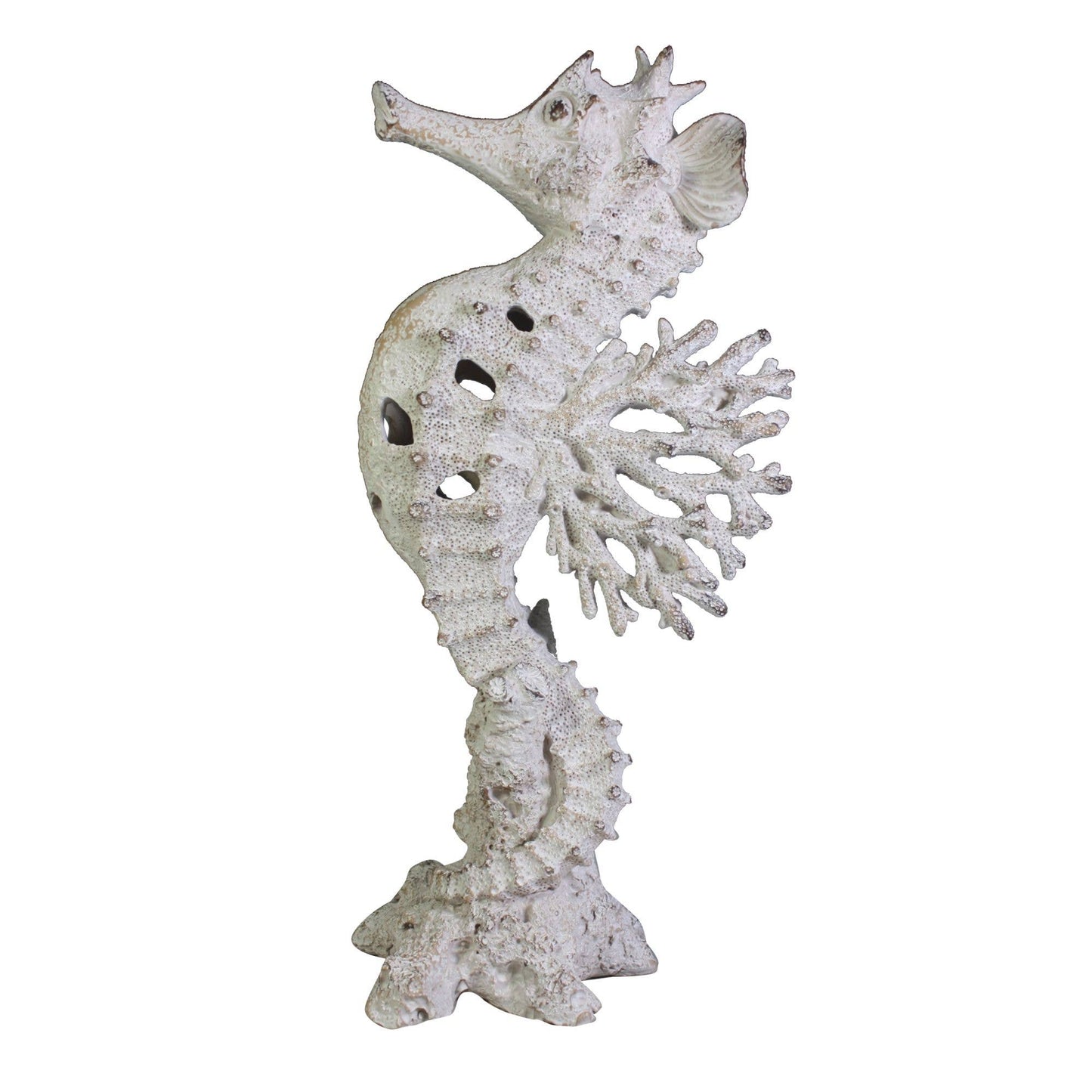Seahorse