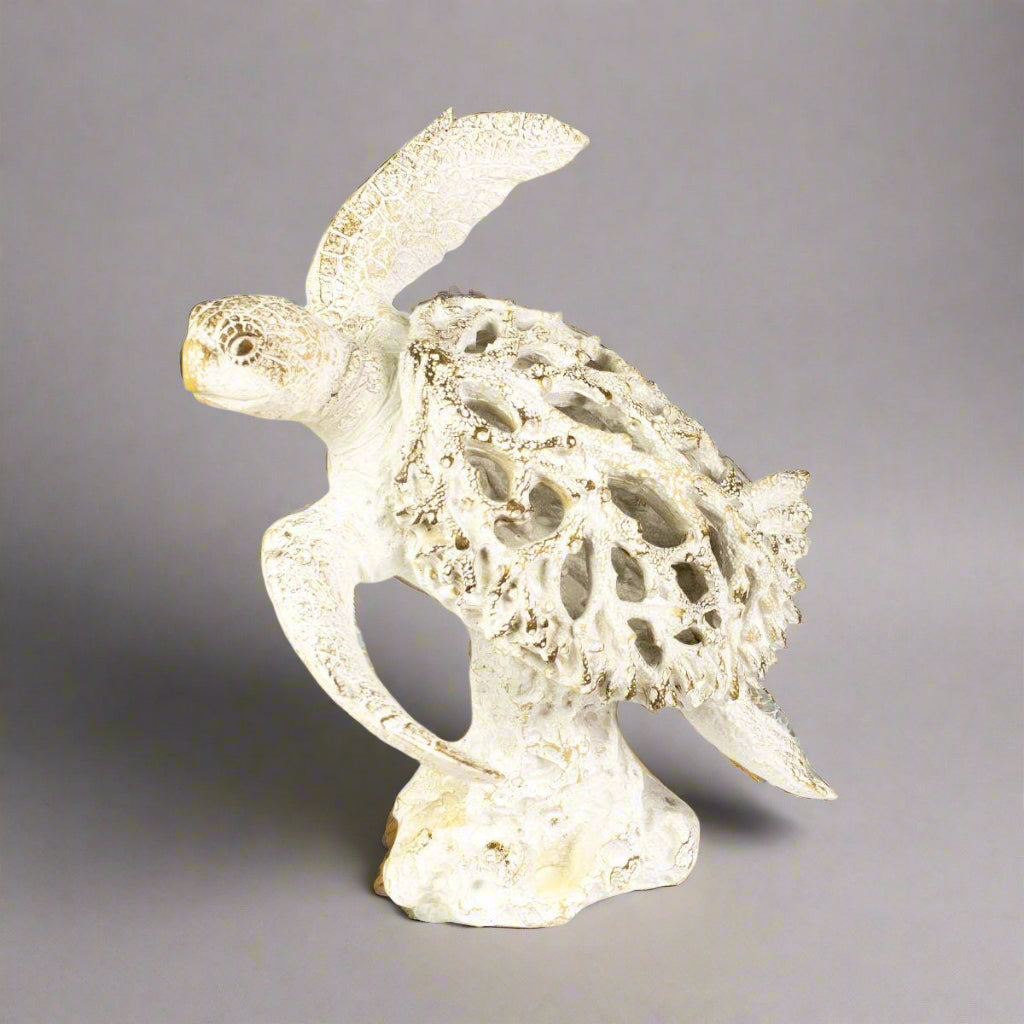 Turtle - Coral Creatures