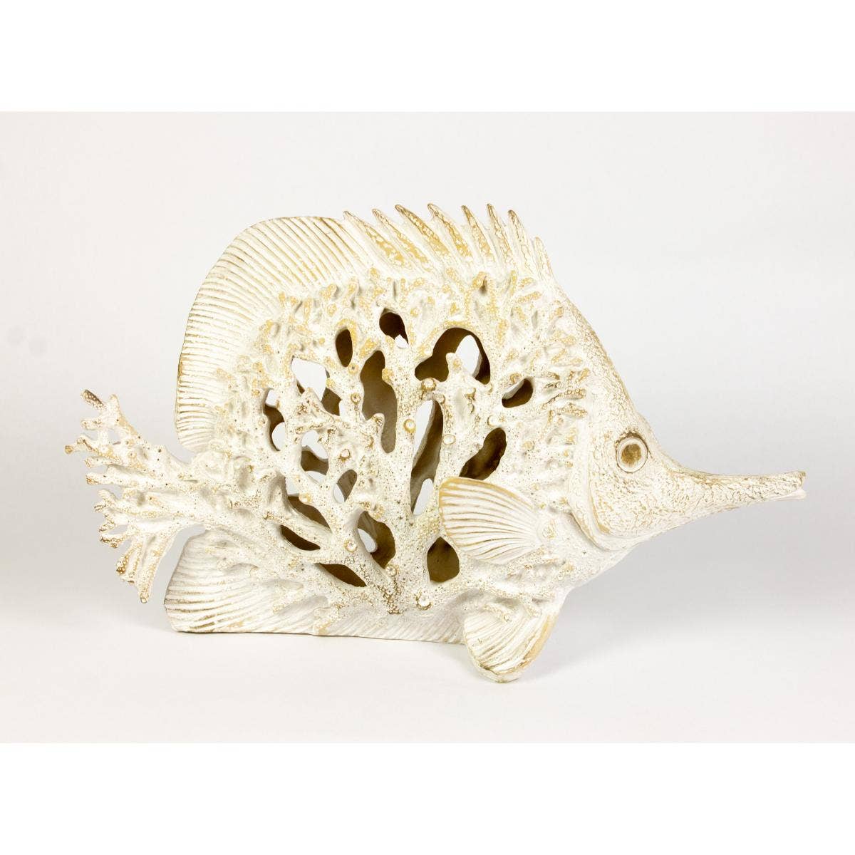 Longnose Butterfly Fish