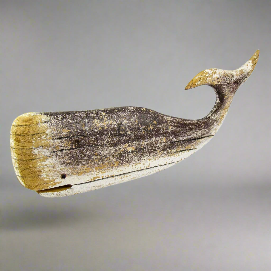 Driftwood Sperm Whale