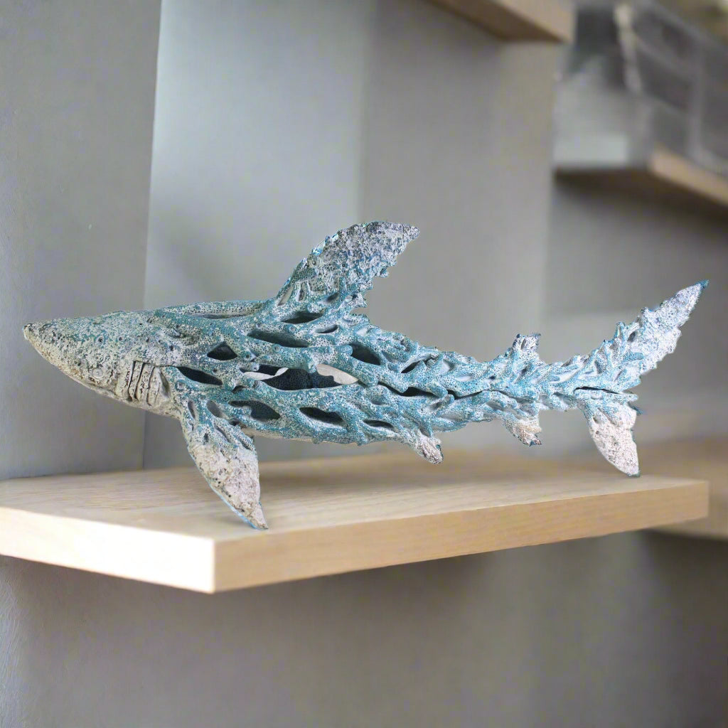 Shark - Coral