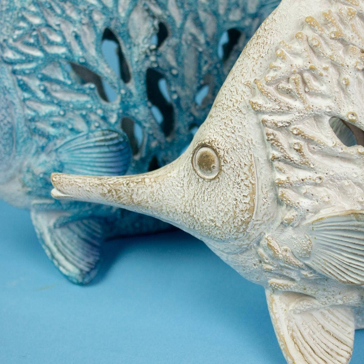 Longnose Butterfly Fish