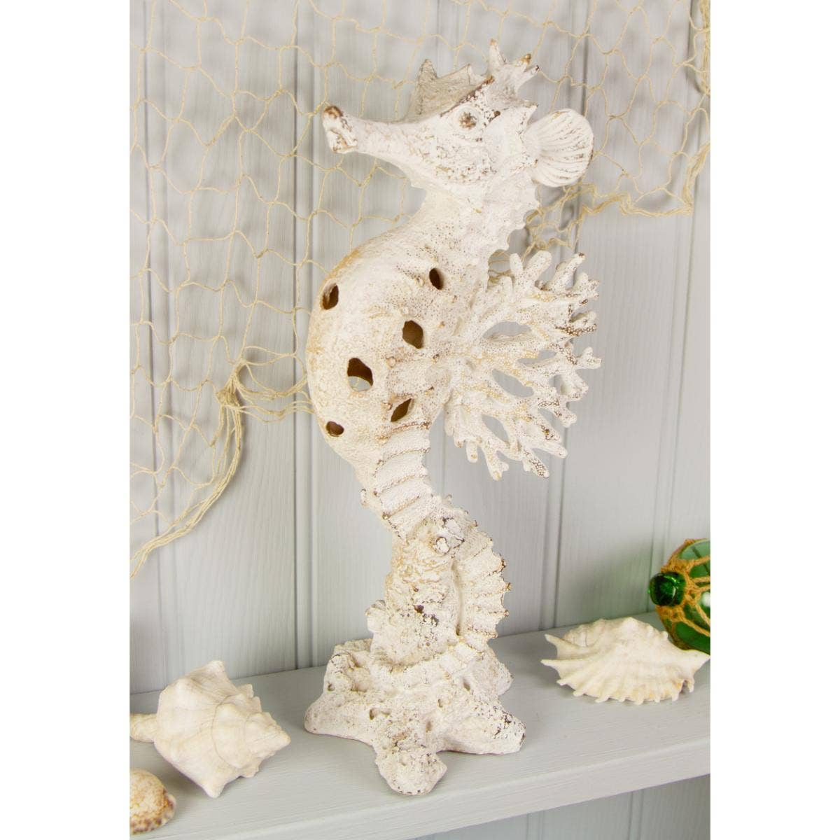 Seahorse