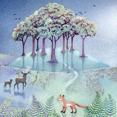 Fox Amongst the Ferns Greeting Card - Locally designed and crafted square blank greeting card, Eco-friendly Cornish produced gift