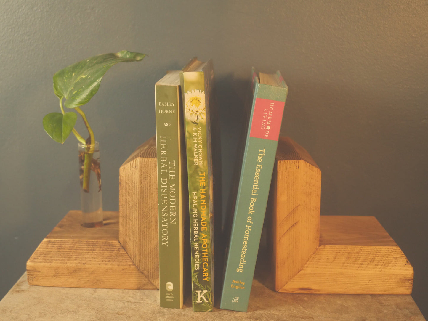 Plantsman WOODEN BOOKENDS With Stem VASE - Propagation Station - Anthophile, Horticulturalist - Apothecary Book Stand Accessories