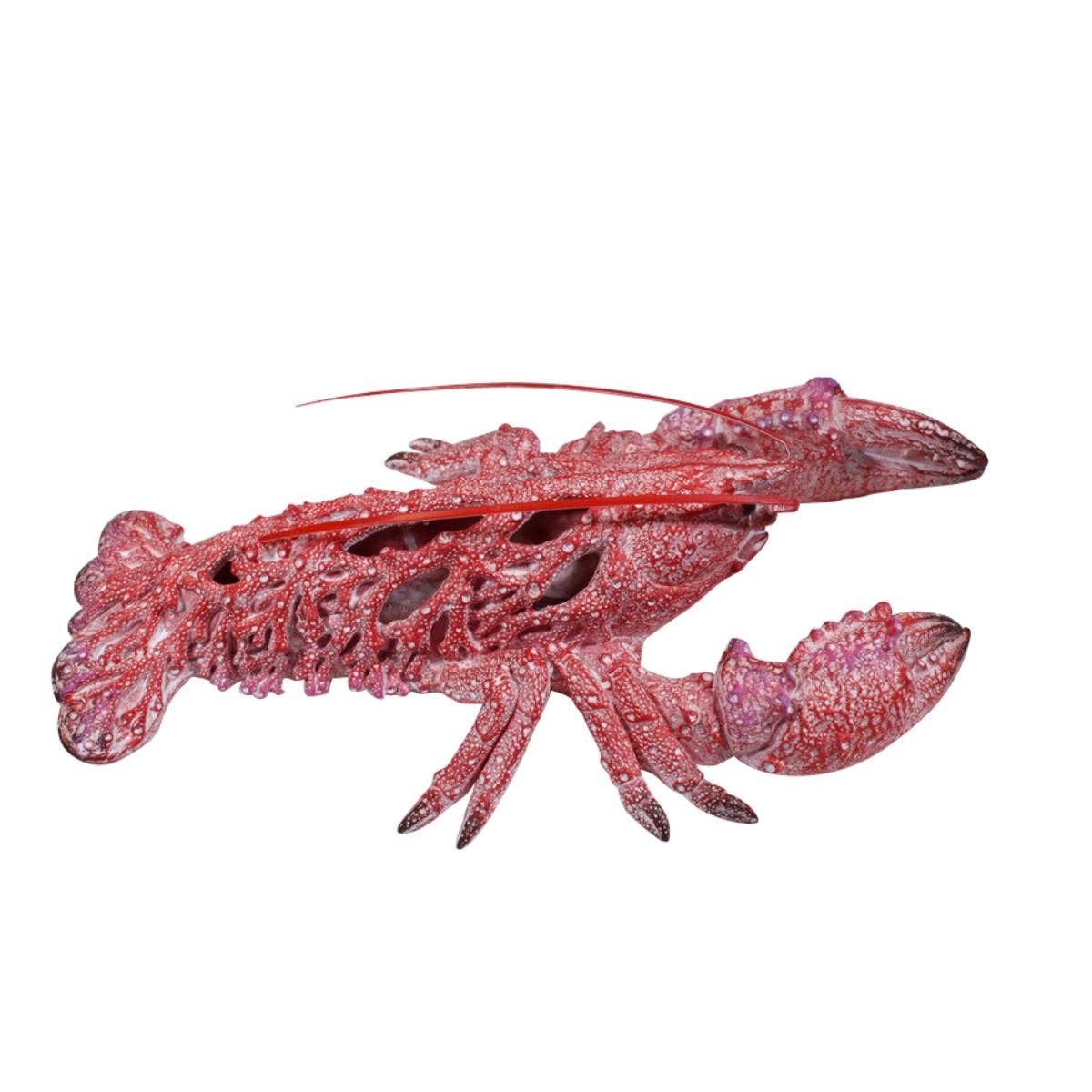 Lobster - Coral Creatures