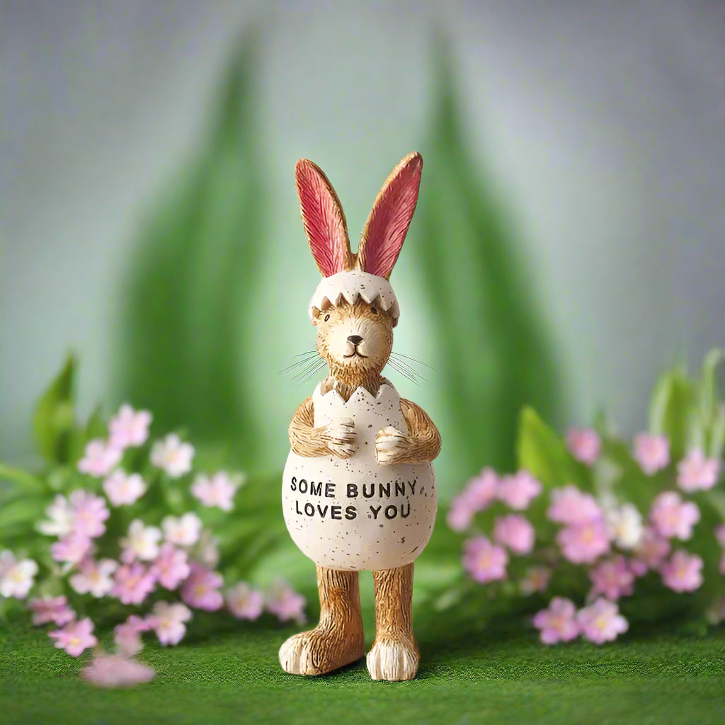 Some Bunny Loves You Rabbit
