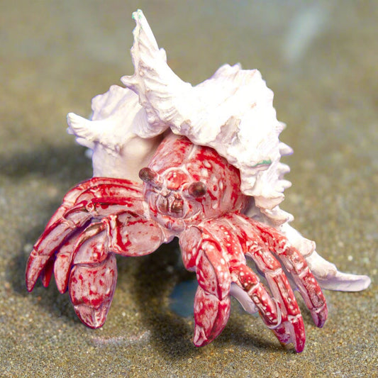 Hermit Crab 19cm