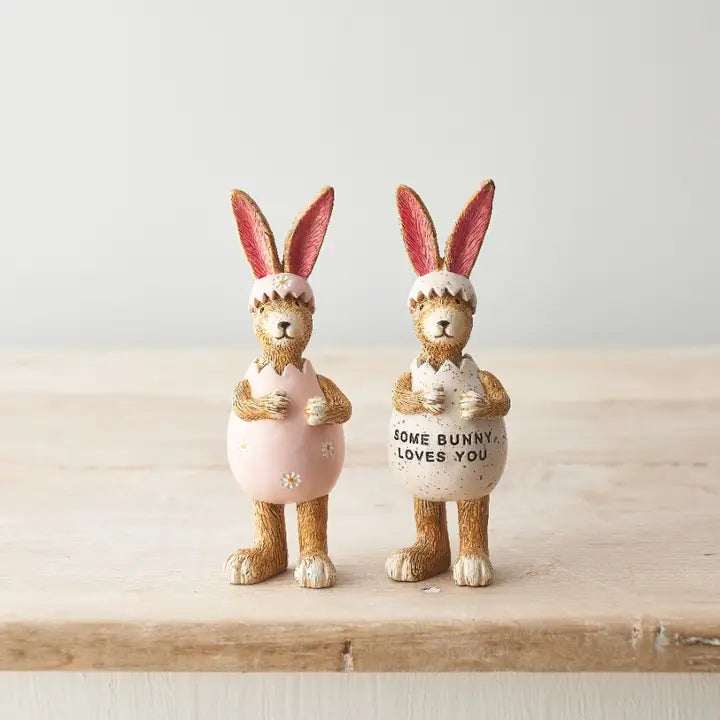 Some Bunny Loves You Rabbit