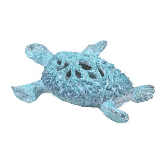 Turtle - Coral Creatures