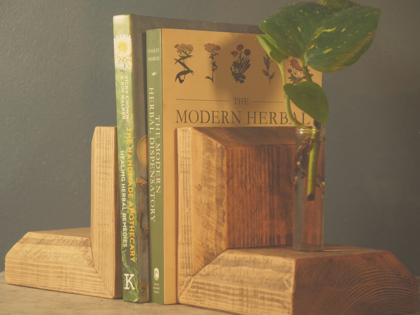 Plantsman WOODEN BOOKENDS With Stem VASE - Propagation Station -  Anthophile, Horticulturalist - Apothecary Book Stand Accessories