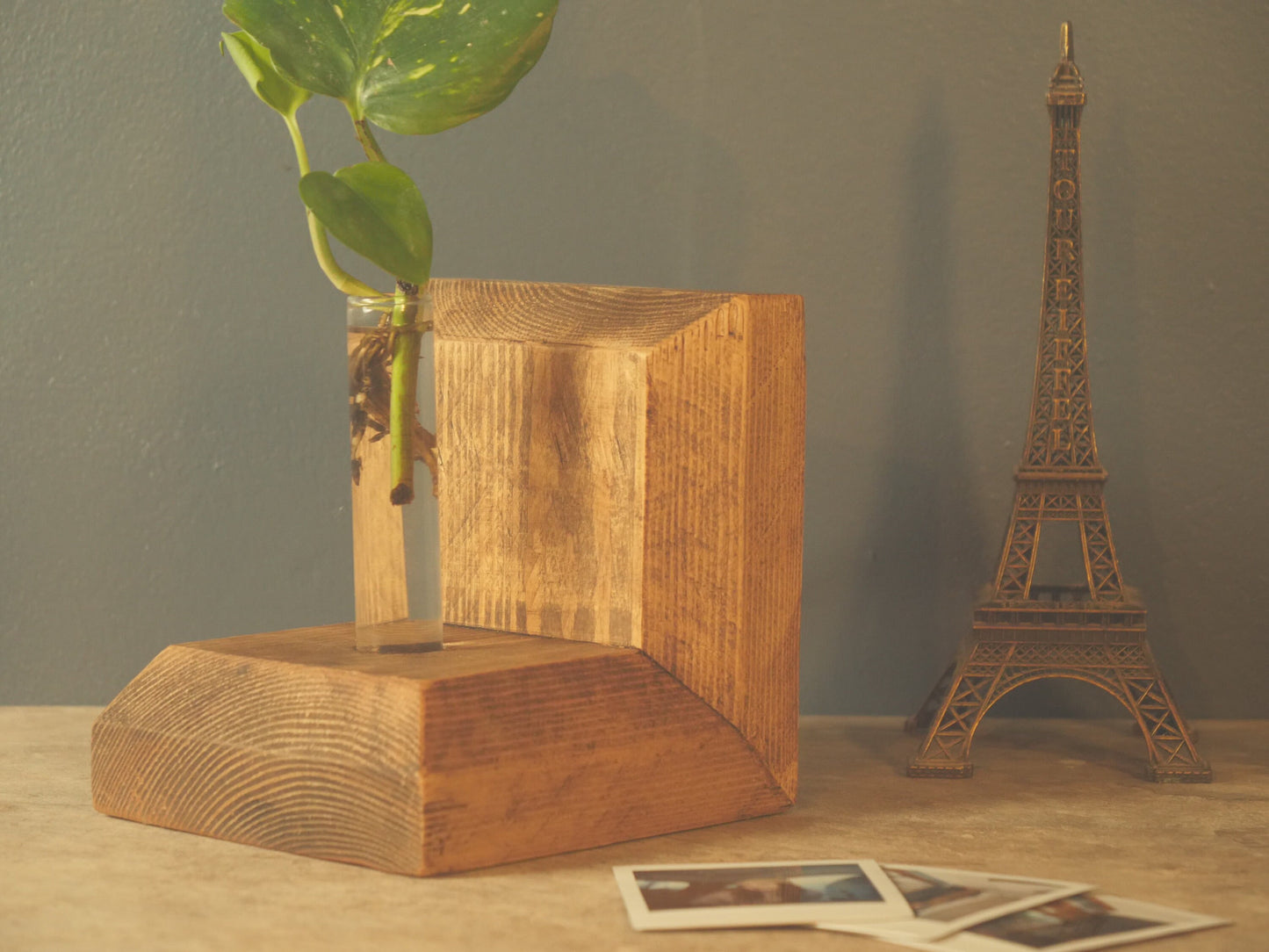 Plantsman WOODEN BOOKENDS With Stem VASE - Propagation Station -  Anthophile, Horticulturalist - Apothecary Book Stand Accessories