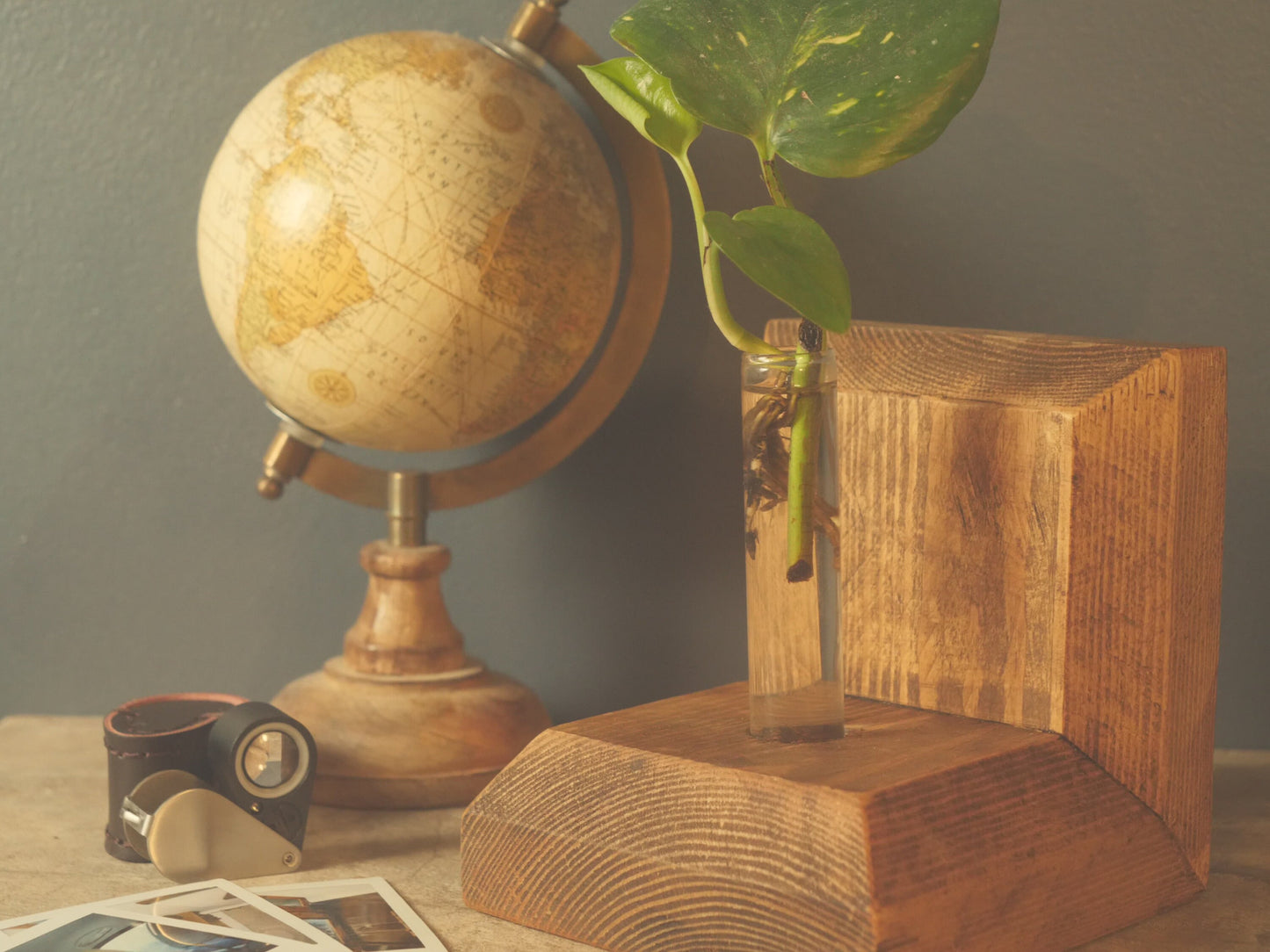 Plantsman WOODEN BOOKENDS With Stem VASE - Propagation Station -  Anthophile, Horticulturalist - Apothecary Book Stand Accessories