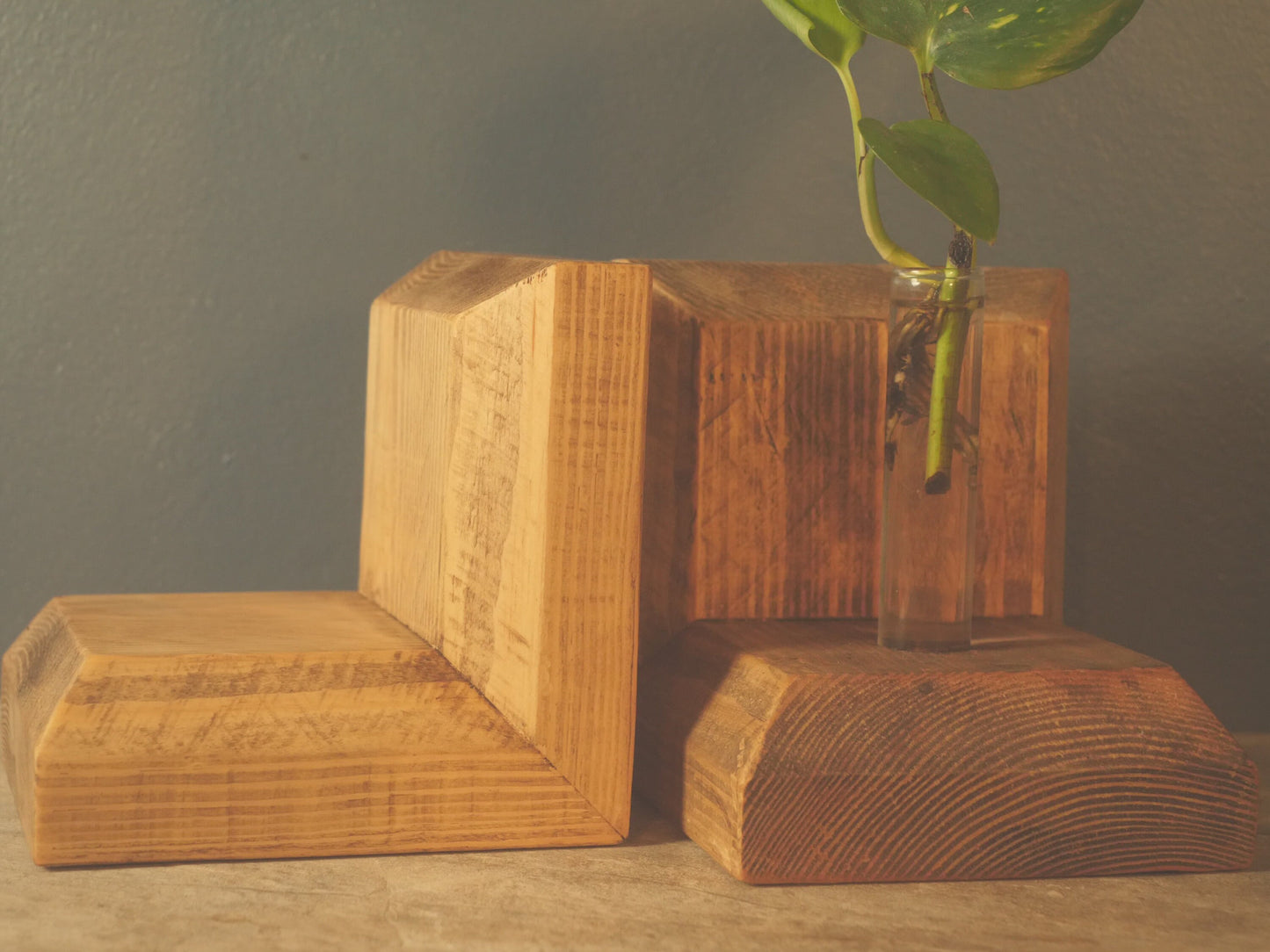 Plantsman WOODEN BOOKENDS With Stem VASE - Propagation Station -  Anthophile, Horticulturalist - Apothecary Book Stand Accessories