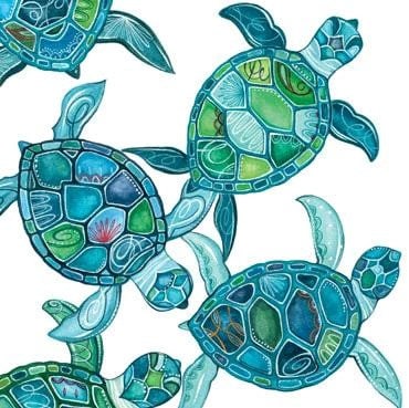 Turtles Greeting Card Blank Inside 160 x 160mm